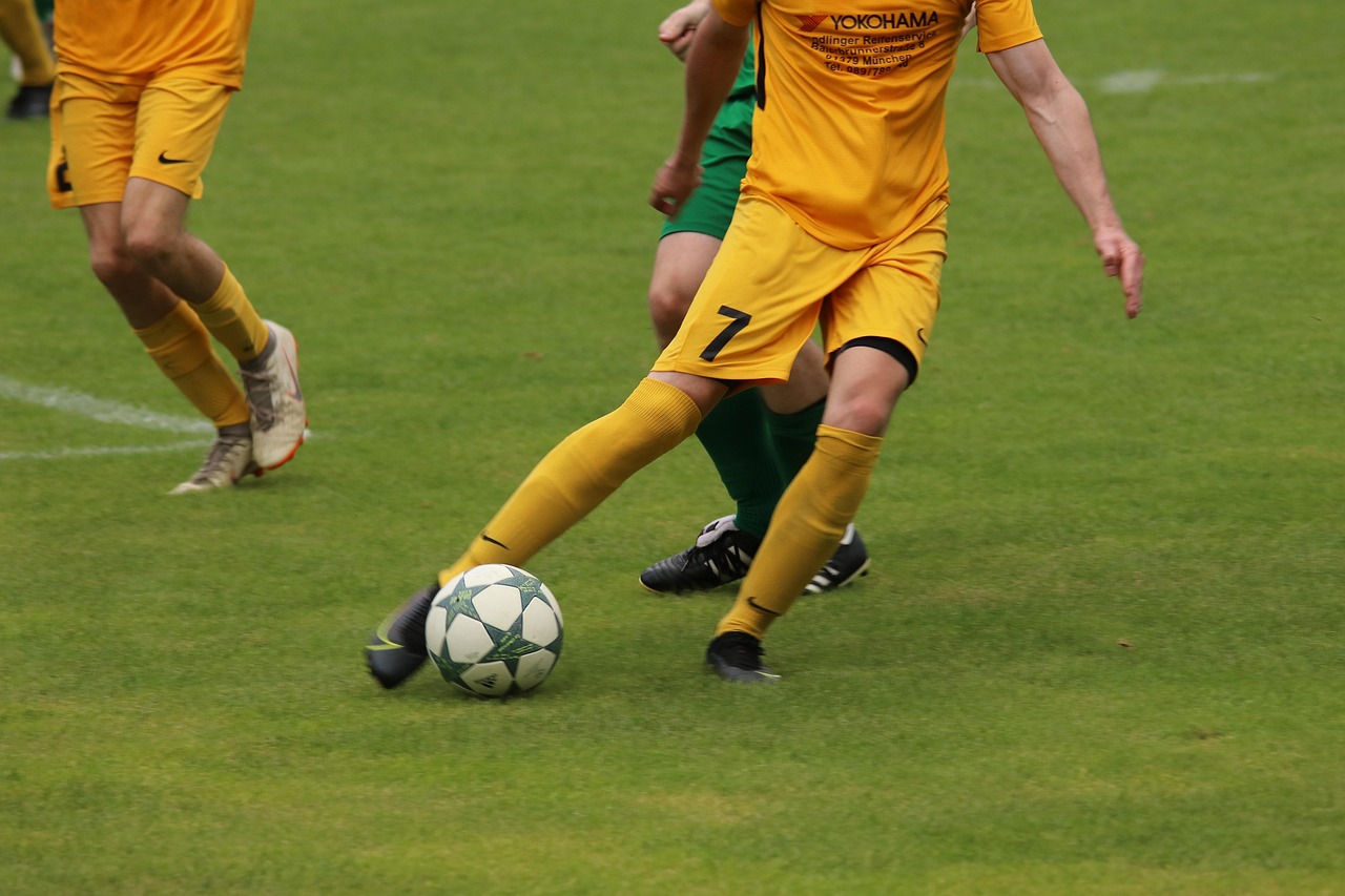 文图斯的转 文图斯的转