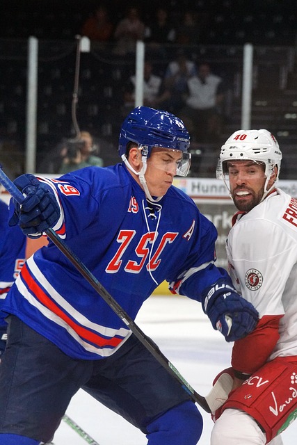 意在利用对 意在利用对